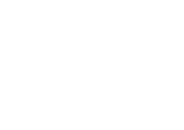 logo trans